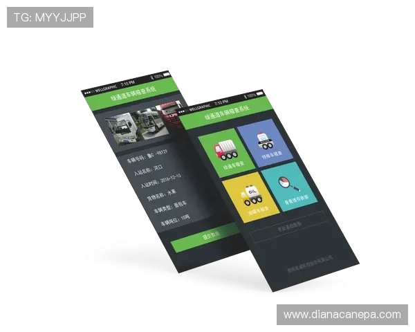 凯发天生赢家网站:如何注册登录流程详解与安全保障措施