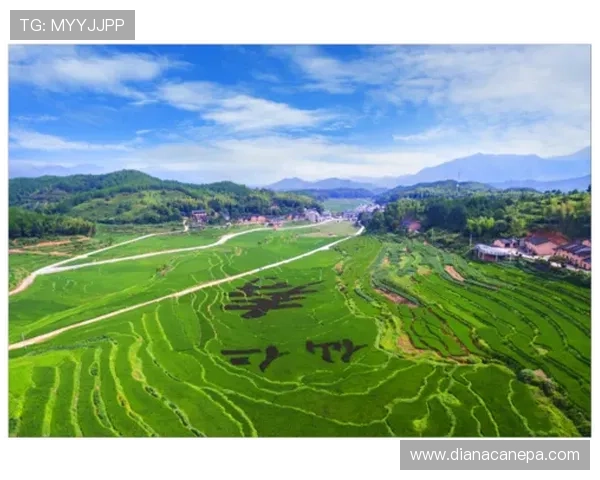 云顶娱乐场积极响应国家政策，推动绿色健康娱乐环境建设实现行业可持续发展